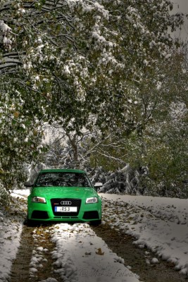 AudiRS3green2.jpg