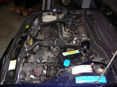 DSCN6954.JPG