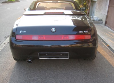 spider2 003.jpg