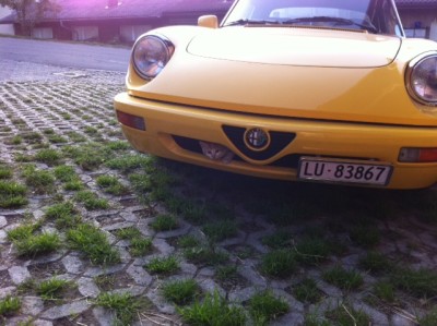 Büsi.JPG (139.98 KiB) 9049 mal betrachtet Büsi.JPG