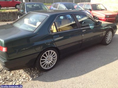 alfa 164.jpg