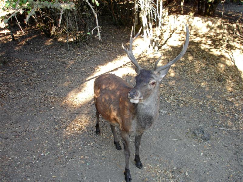 nicht nur sonne und mehr sondern auch natrparke hat es in sardinien!