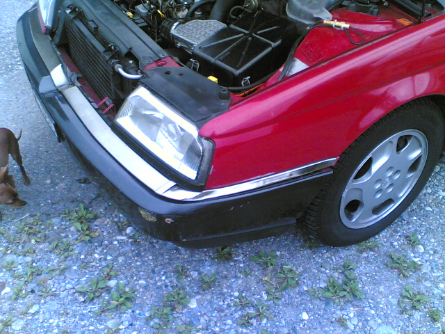 28062007(009).jpg