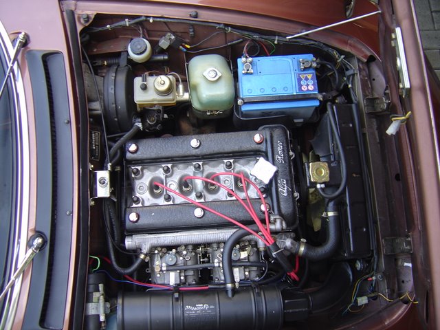 DSC01456-1.JPG