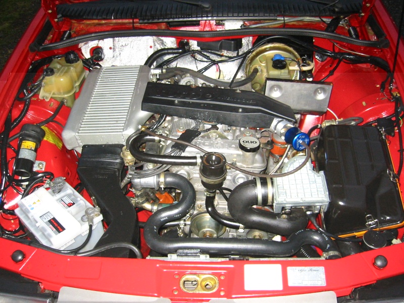 af7755g.sized.jpg