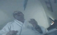 catsniffer.gif