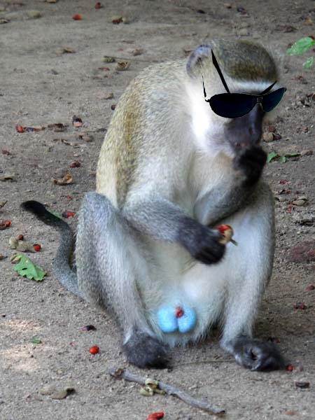 blueballs.jpg